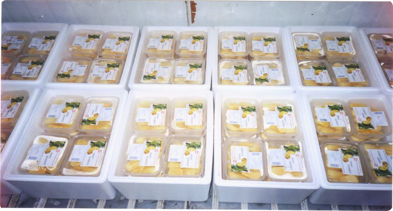 Lorem ipsum dolor sit amet